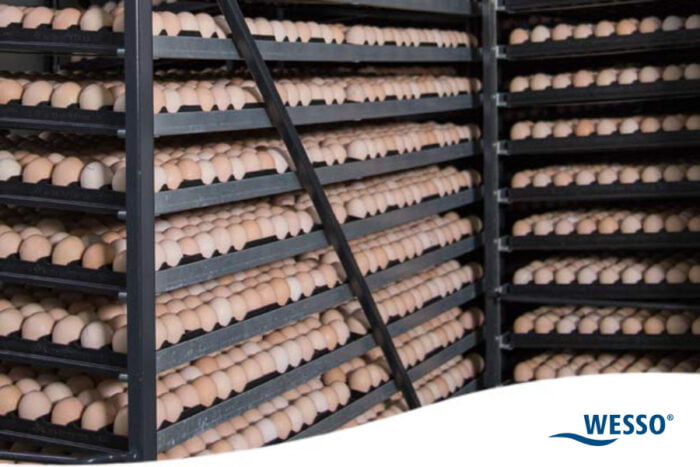 Hatching-Egg-Disinfection-Gold-Line